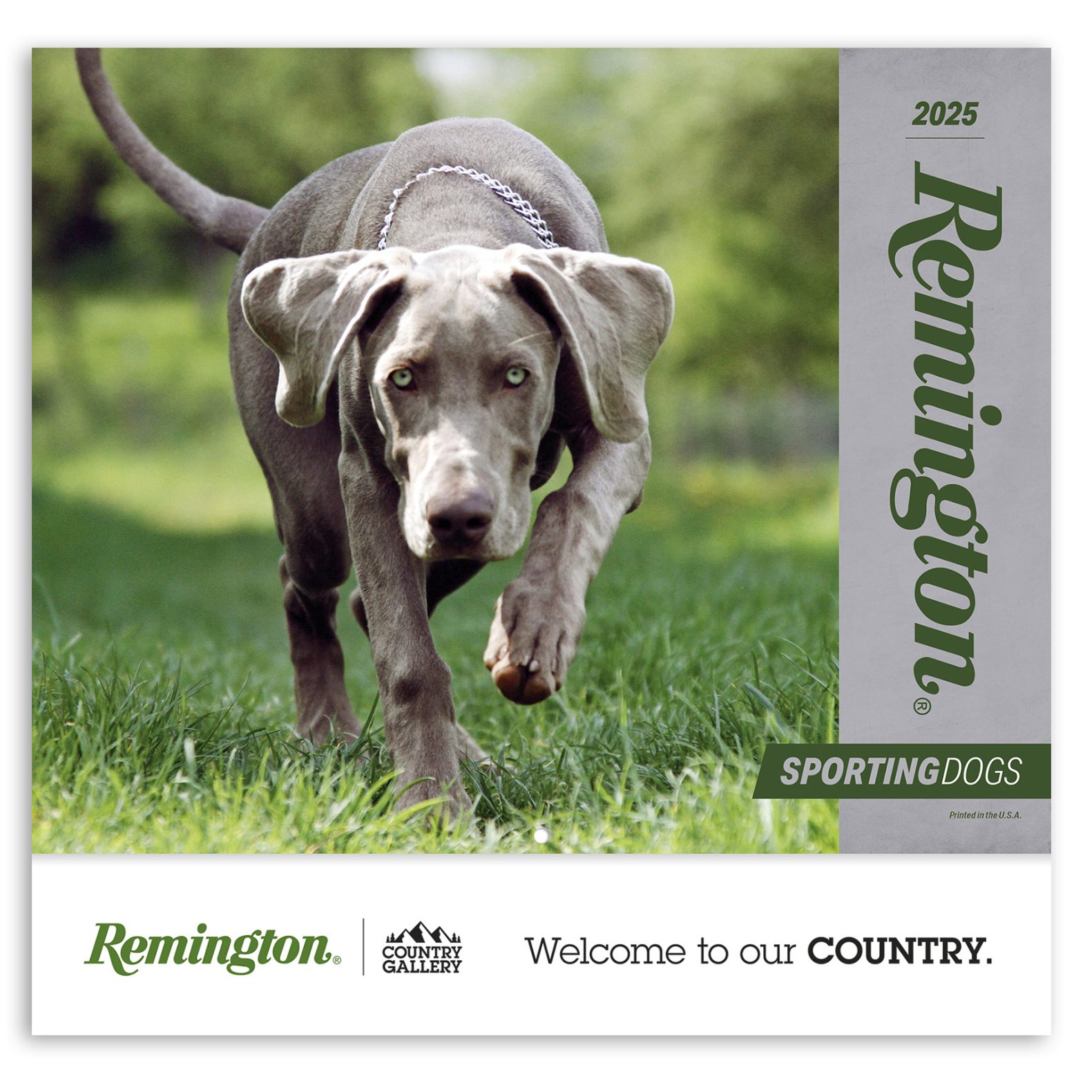Remington Sporting Dogs Calendar Country Gallery Calendars